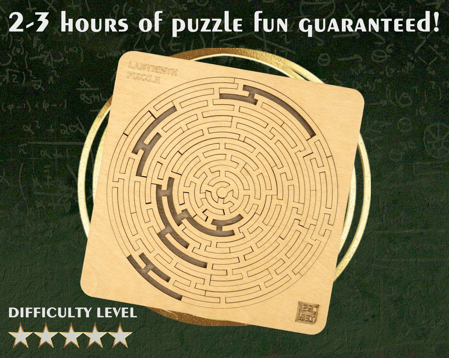Images and photos of Labyrinth Puzzle. ESC WELT.